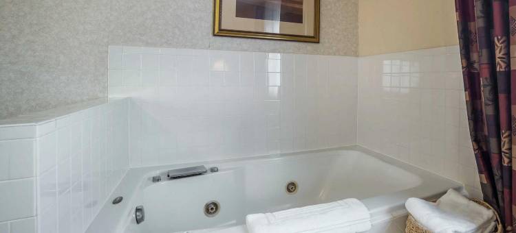 肯纳威克里奇兰舒适酒店(Comfort Inn Kennewick Richland)图片