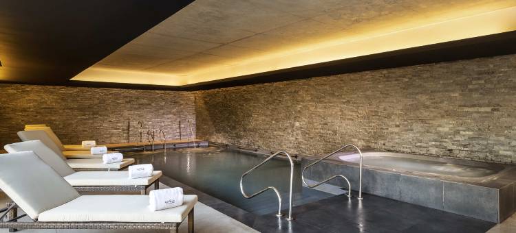 圣地亚哥普罗维登西亚诺富特酒店(Novotel Santiago Providencia)图片