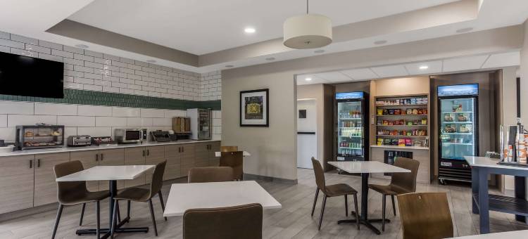 布恩波纳伊斯 - 坎卡基美茵斯坦套房酒店(MainStay Suites Bourbonnais - Kankakee)图片