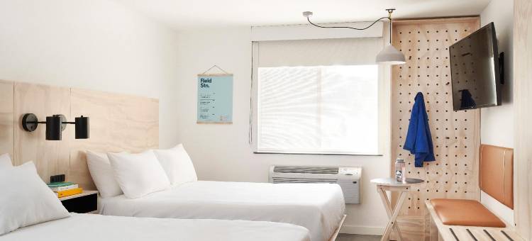 Slackline Moab，希尔顿Outset系列(Slackline Moab, Outset Collection by Hilton)图片