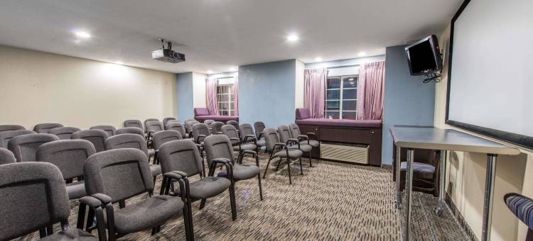 乔治敦麦客达套房酒店(Microtel Inn & Suites by Wyndham Georgetown)图片