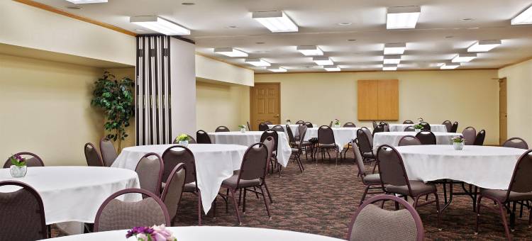 加利纳丽怡酒店(Country Inn & Suites by Radisson, Galena, IL)图片