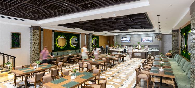 Shamsan机场酒店(Shamsan Airport Hotel)图片