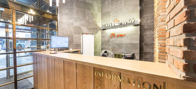 平泽塞维利亚酒店(Pyeongtaek Seville Hotel)图片