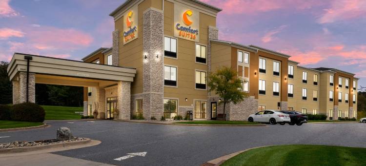 哈德森I-94舒适套房酒店(Comfort Suites Hudson I-94)图片