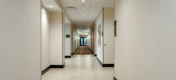 塞内卡-克莱姆森区欢朋酒店及套房(Hampton Inn & Suites Seneca-Clemson Area)图片