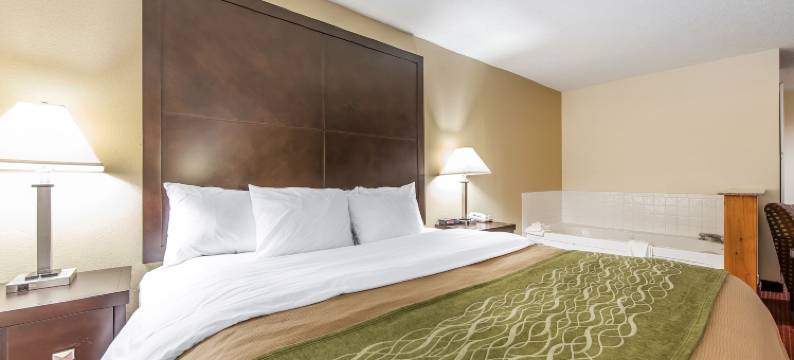 朴茨茅斯品质套房酒店(Quality Inn & Suites)图片