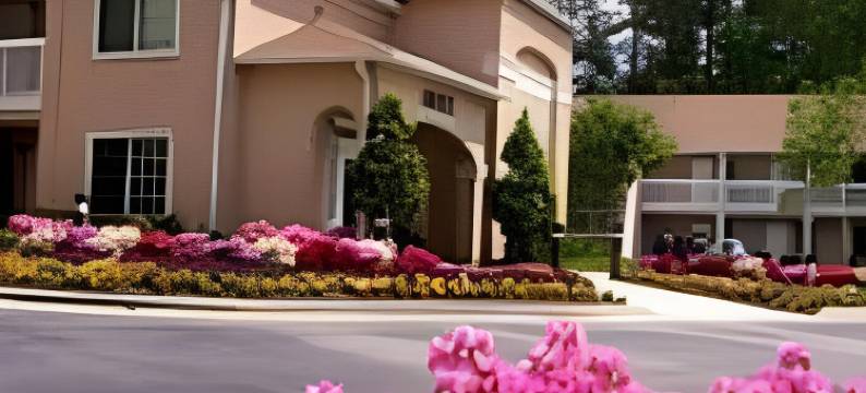 郊区酒店罗利 - 蟹树谷(Suburban Studios Raleigh - Crabtree Valley)图片