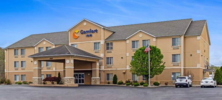 舒适酒店(Comfort Inn)图片