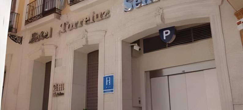 托利鲁斯高级酒店(Crisol Almería)图片