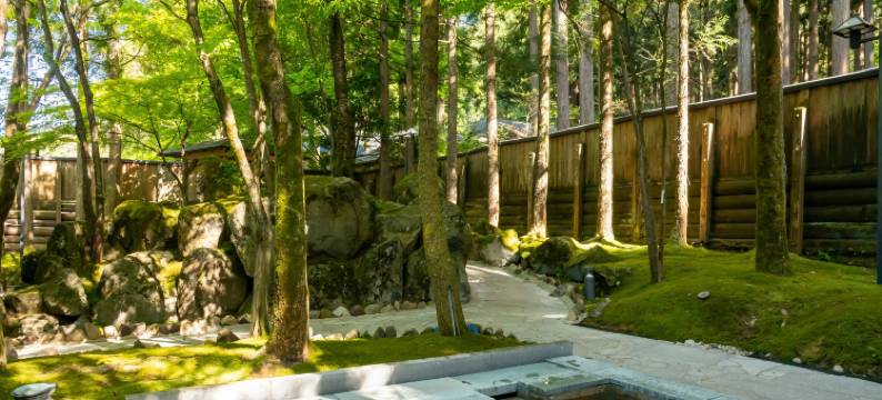 杣山花莲温泉酒店(Hanahasuonnsenn Somayama)图片