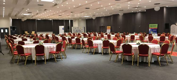 王国郁锦香饭店(Golden Tulip Royaume)图片