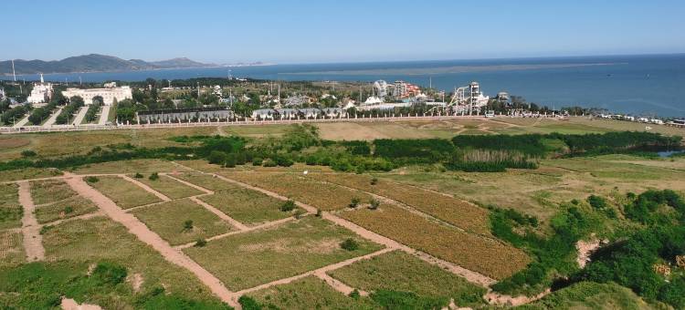 王哥海景公寓(新东路分店)图片