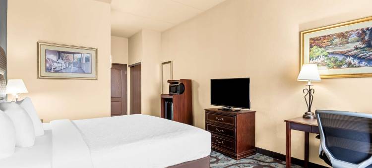 度假庄园贝斯特韦斯特酒店(Best Western Holiday Manor)图片