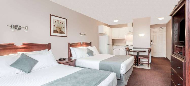 乡村湖-温菲尔德地区速8酒店(Super 8 by Wyndham Lake Country/Winfield Area)图片