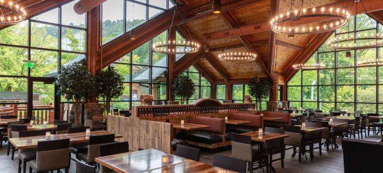 西门大烟山水疗度假村(Westgate Smoky Mountain Resort & Spa)图片