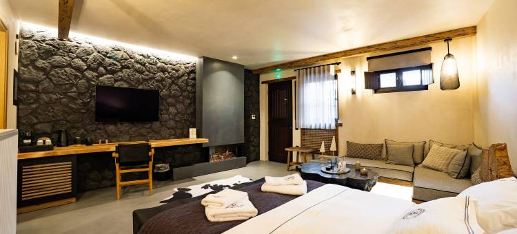 米开朗基罗之家(Maison Michelangelo)图片