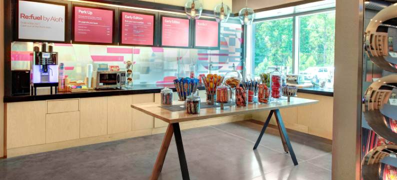 罗利-达勒姆机场布里尔溪雅乐轩酒店(Aloft Raleigh-Durham Airport Brier Creek)图片