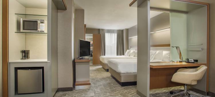 路易斯威尔市中心万豪SpringHill酒店(SpringHill Suites Louisville Downtown)图片