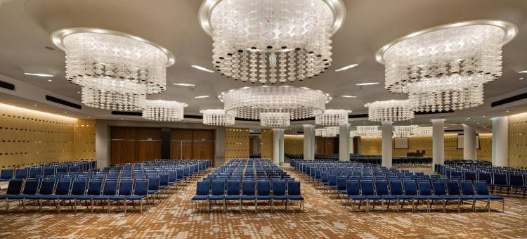 阿巴撒酒店(Avasa Hotel)图片