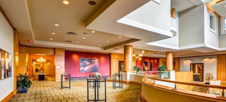 休斯顿能源走廊希尔顿安泊酒店(Embassy Suites by Hilton Houston Energy Corridor)图片