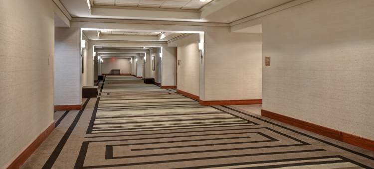 小石城希尔顿安泊酒店(Embassy Suites by Hilton Little Rock)图片