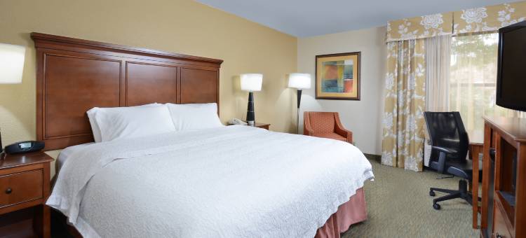 莱利/都林机场欢朋酒店(Hampton Inn Raleigh/Durham-Airport)图片