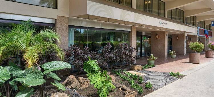 怀基基水立方棕榈树酒店(Aqua Palms Waikiki)图片