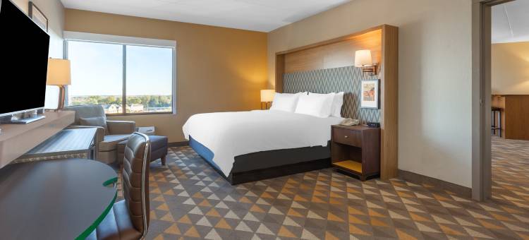 罗克福德假日酒店(Holiday Inn Rockford(I-90&RT 20/State ST))图片