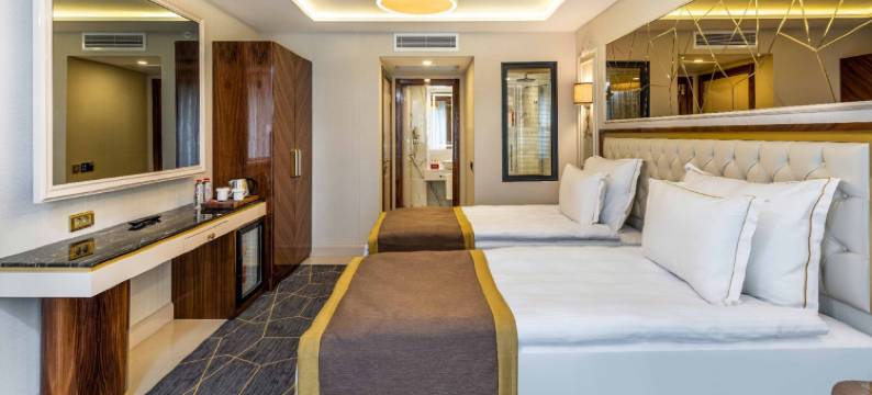 贝多芬交响乐酒店(Beethoven Senfoni Hotel)图片