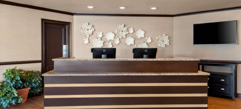 纽波特口贝斯特韦斯特酒店(Best Western Newport Inn)图片