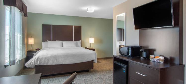 亚特兰大市中心凯隆酒店(Clarion Inn & Suites Atlanta Downtown)图片