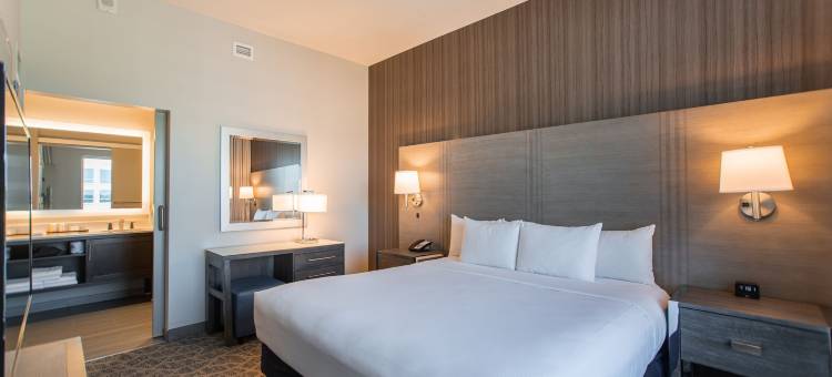 哈格斯兰丁伍德兰斯希尔顿安泊酒店(Embassy Suites by Hilton the Woodlands® at Hughes Landing)图片