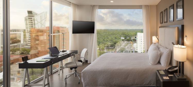 希尔顿欢朋酒店-玻利维亚圣克鲁斯/埃基佩特罗(Hampton by Hilton Santa Cruz/Equipetrol)图片