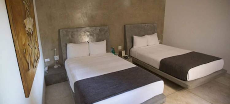 卡萨托塔酒店(Hotel Casa Tota)图片