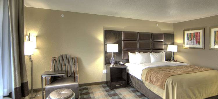 西沃思堡舒适套房酒店(Comfort Inn & Suites, White Settlement-Fort Worth West, TX)图片