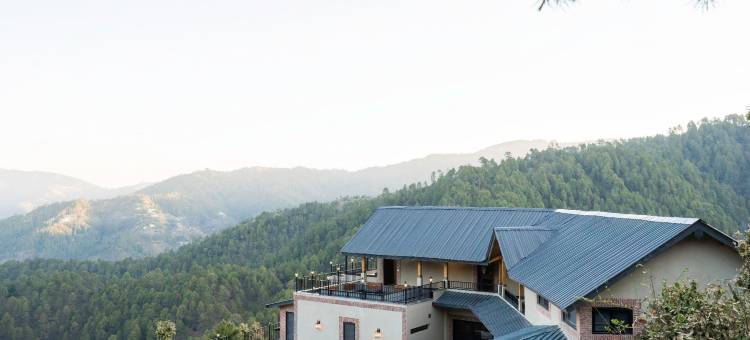 洋甘菊庄园(The Chamomile Estate)图片