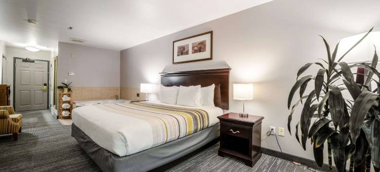 安大略省安大略米尔斯丽怡酒店(Country Inn & Suites by Radisson, Ontario at Ontario Mills, CA)图片