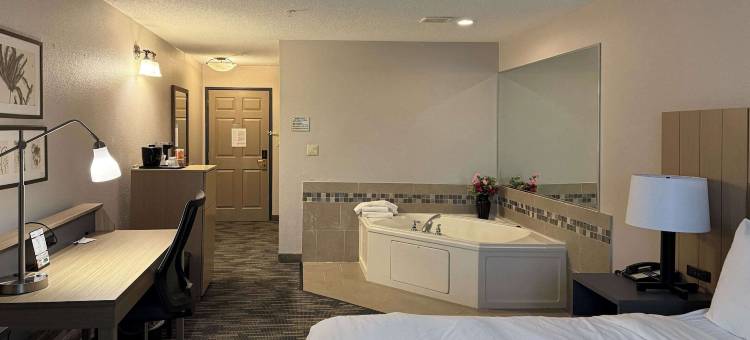 埃尔金丽怡酒店(Country Inn & Suites by Radisson, Elgin, IL)图片