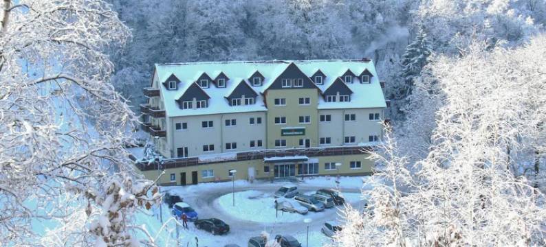 驰安泽豪韦尼格罗德瑞吉奥酒店(Regiohotel Schanzenhaus Wernigerode)图片