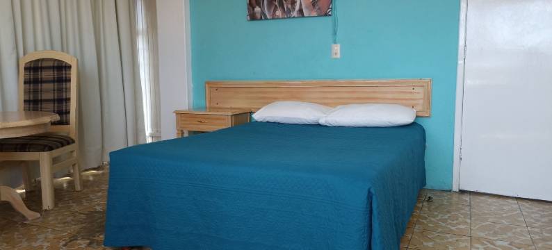 维耶纳酒店(Hotel Viena)图片