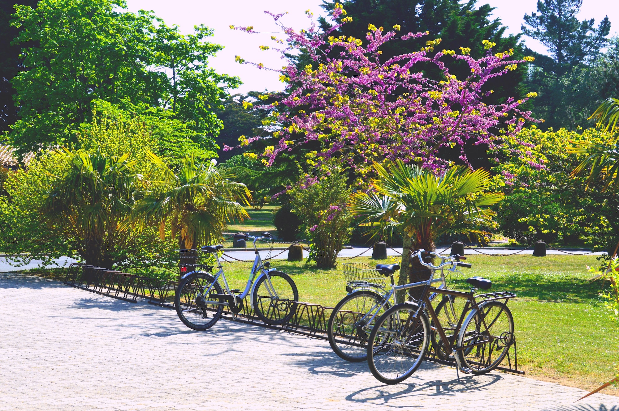 Village Océanique Over view