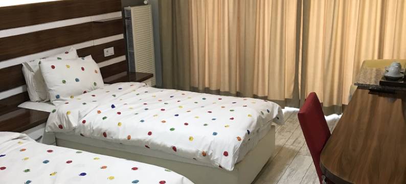 大西洋安卡拉酒店(Ankara Atlantik Otel)图片