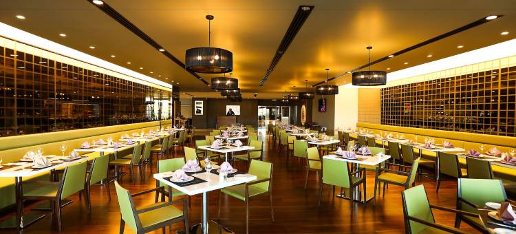 伊斯坦布尔亚洲机场温德姆酒店(Wyndham Istanbul Asia Airport)图片