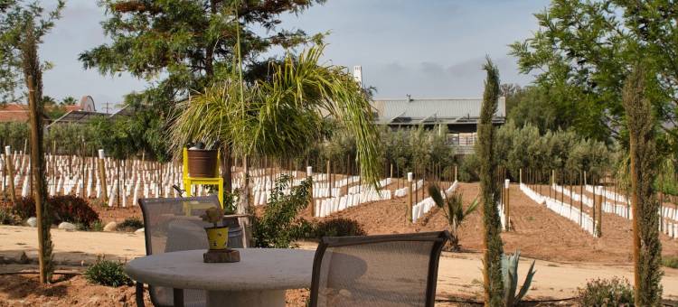 雷托诺斯别墅酒店(Villas en Los Retoños)图片