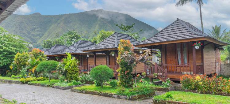 Puncak Rinjani旅馆(Puncak Rinjani Lodge)图片