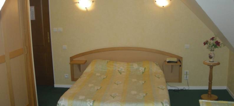 莱纳桑斯酒店(Hotel la Renaissance)图片