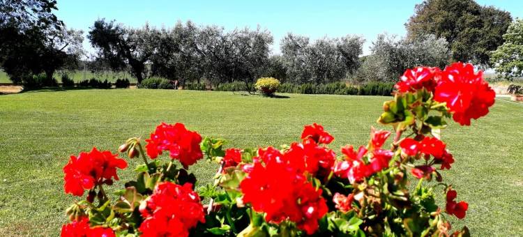 蒙泰亚尔真塔廖农庄酒店(Agriturismo Ristorante Monte Argentario)图片
