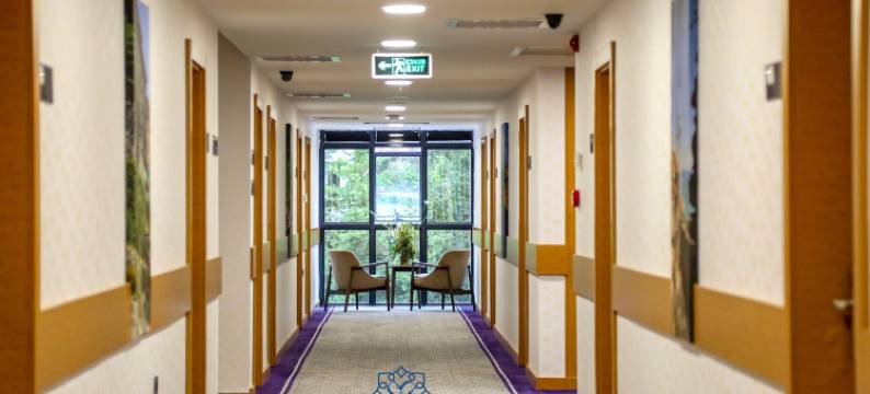 乌尊格尔金色酒店(Golden Inn Hotel Uzungöl)图片