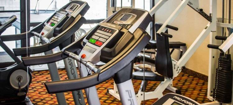 凯艺套房酒店(Quality Inn & Suites)图片